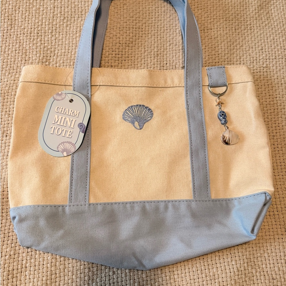 Charm Mini Tote Bag in Light Blue and Cream